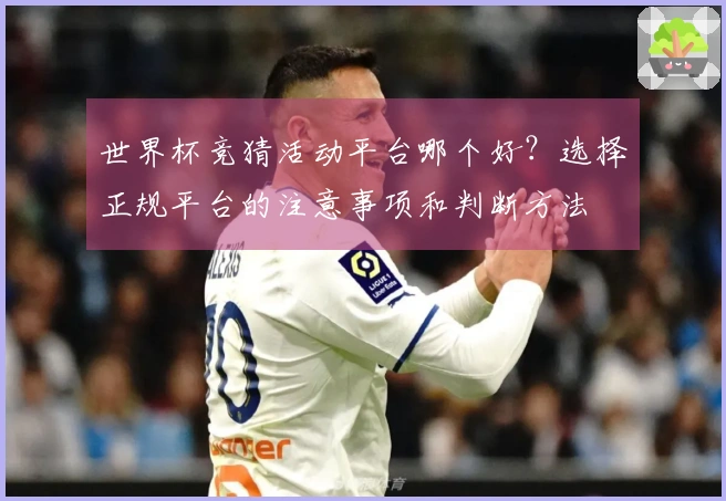 世界杯竞猜活动平台哪个好？选择正规平台的注意事项和判断方法