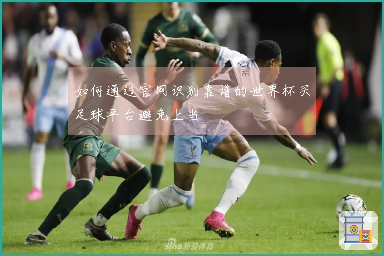 如何通过官网识别靠谱的世界杯买足球平台避免上当