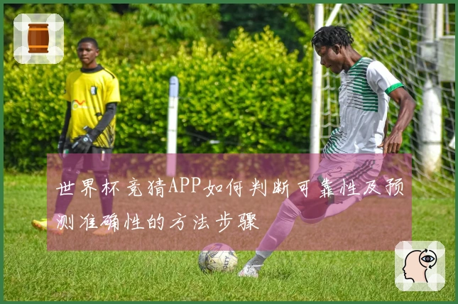 世界杯竞猜APP如何判断可靠性及预测准确性的方法步骤